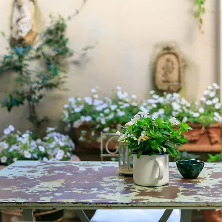 The 1564 - Small Luxury Of The World