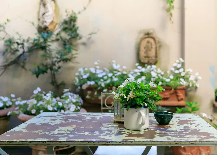 The 1564 - Small Luxury Of The World